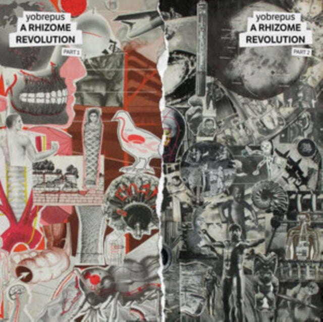 Yobrepus - A Rhizome Revolution Part 1 (Vinyl)