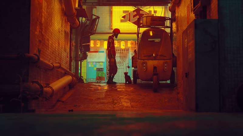 Stray (PS4)