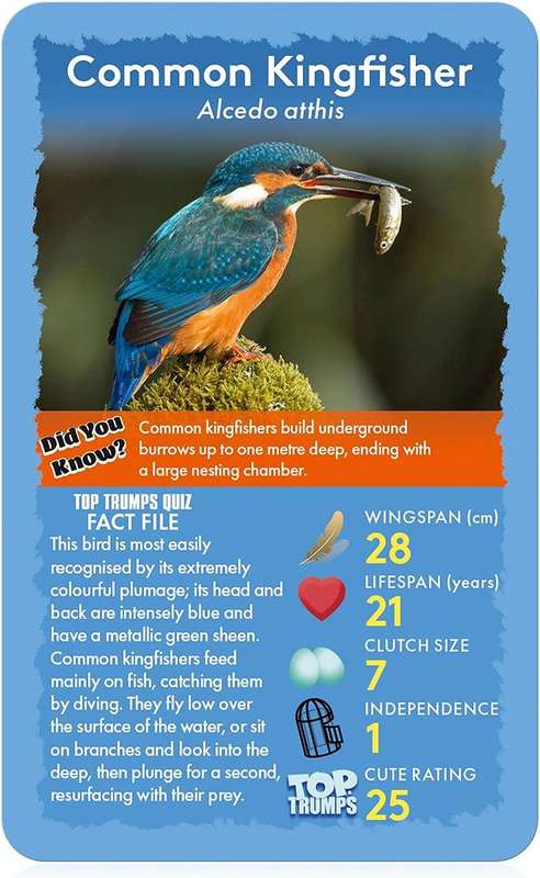 Top Trumps Card Game Classics Birds of The World