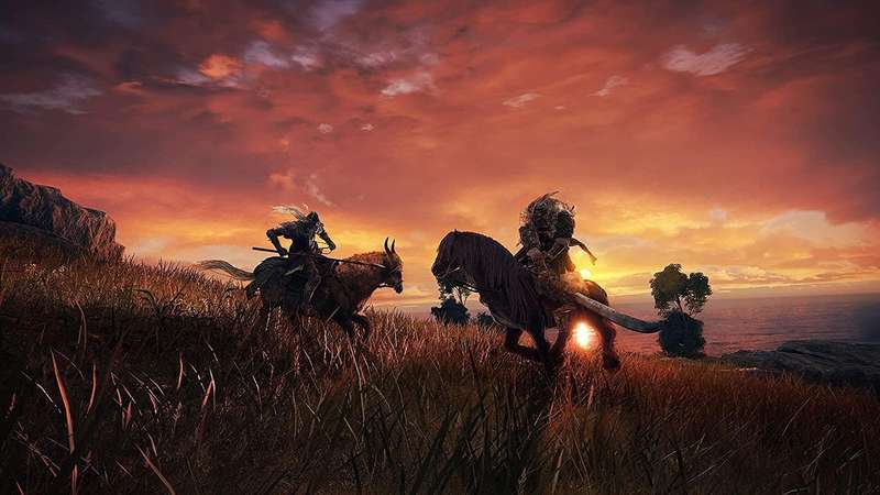 Elden Ring (PS5)