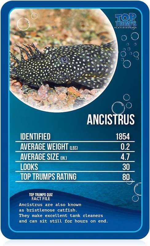 Top Trumps Card Game Classics Freshwater Fish