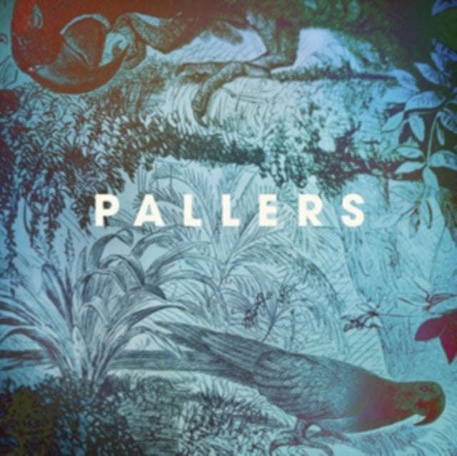 Pallers - The Sea Of Memories (Vinyl)