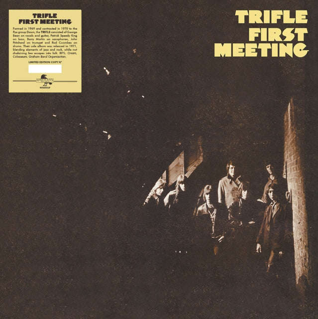 Trifle - First Meeting (Vinyl)