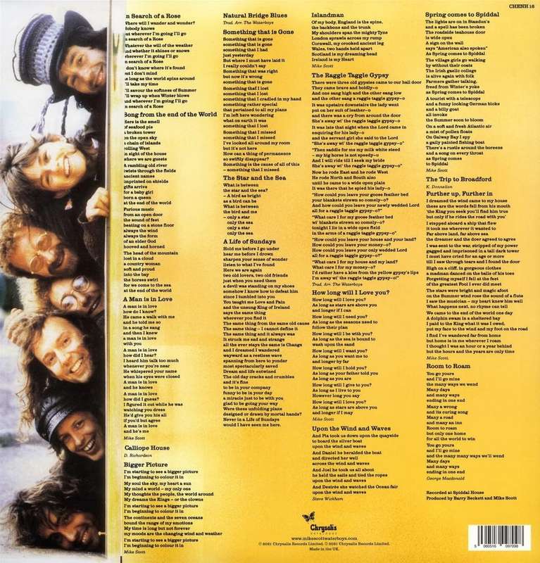 Waterboys - Room To Roam (Half Speed Master) (Vinyl)