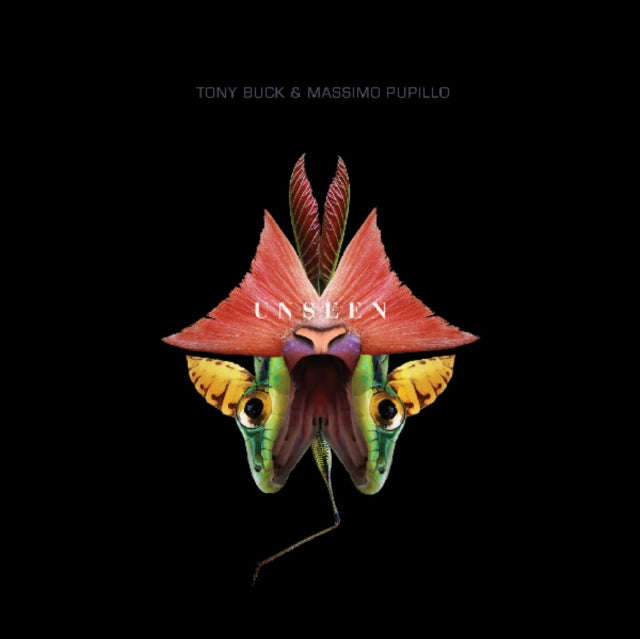 Tony Buck And Massimo Pupillo - Unseen (CD)