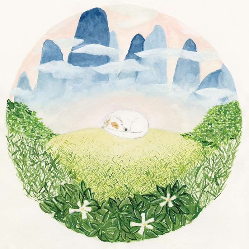 Ben Hackett - Songs For Sleeping Dogs (CD)