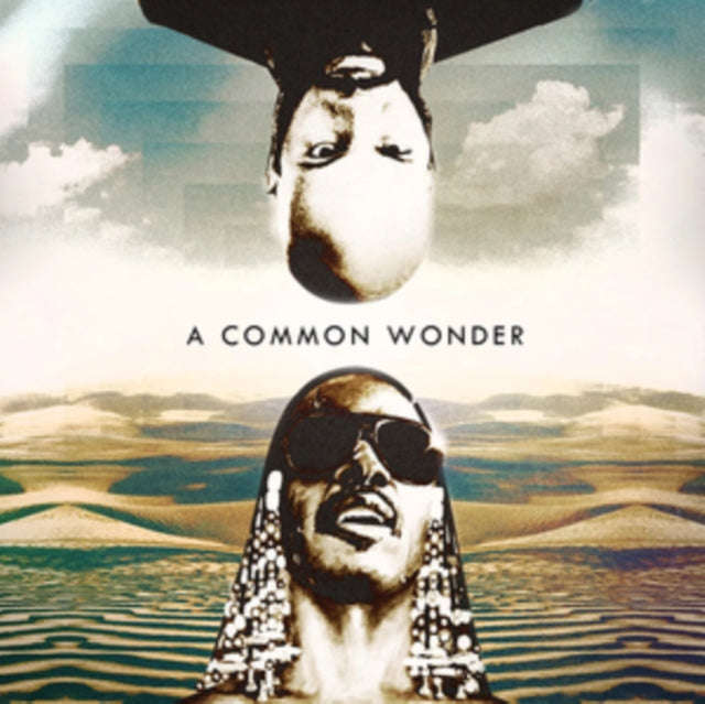 Cmmon - Vs Stevie (Vinyl)