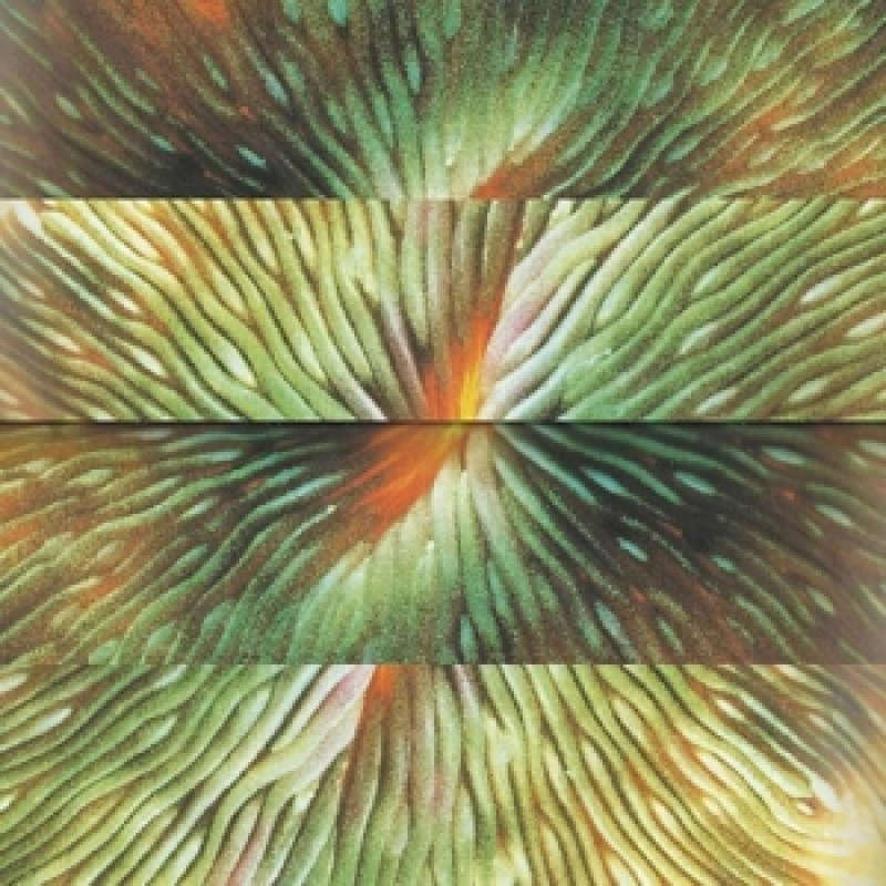 Active Surplus - Mirroring (Vinyl)