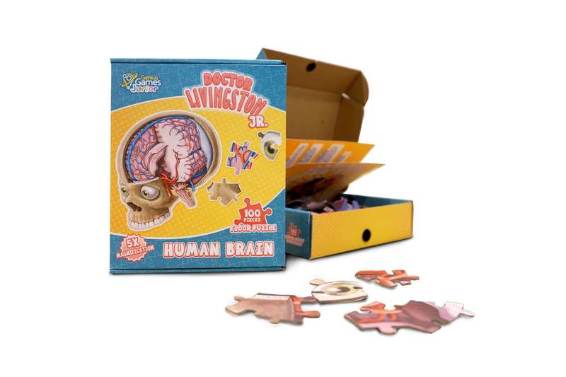 Dr. Livingston's Anatomy Jigsaw Puzzle The Human Brain (Board Games)