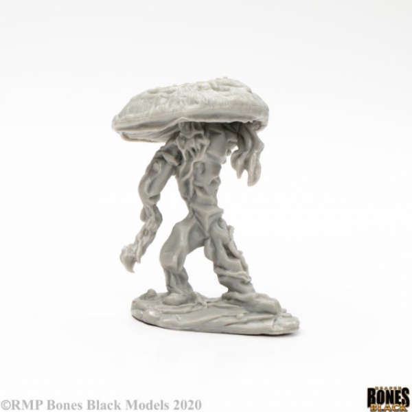 Bones Black Fungal Guardian (Miniatures)