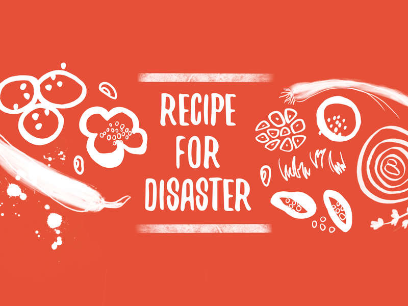 Recipe for Disaster OOP (Board Games)