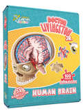 Dr. Livingstones Jr. Human Brain Floor Puzzle (Board Games)