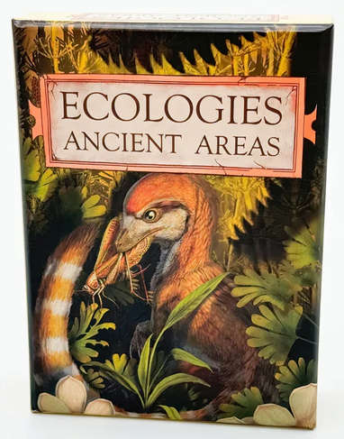 Ecologies Ancient Areas (Board Games)