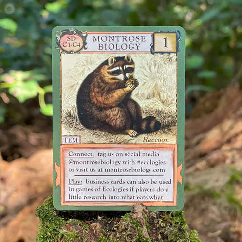 Ecologies Contact Cards (Board Games)