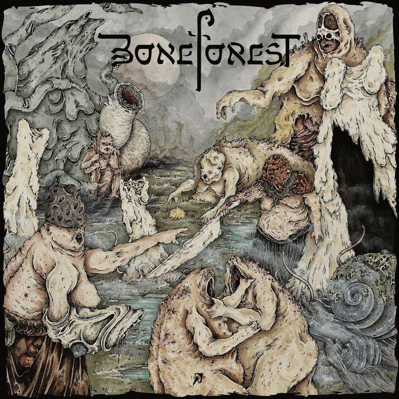 Boneforest (NO DAMAGE CLAIMS) OOP (RPGs)