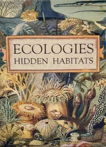 Ecologies Hidden Habitats (Board Games)