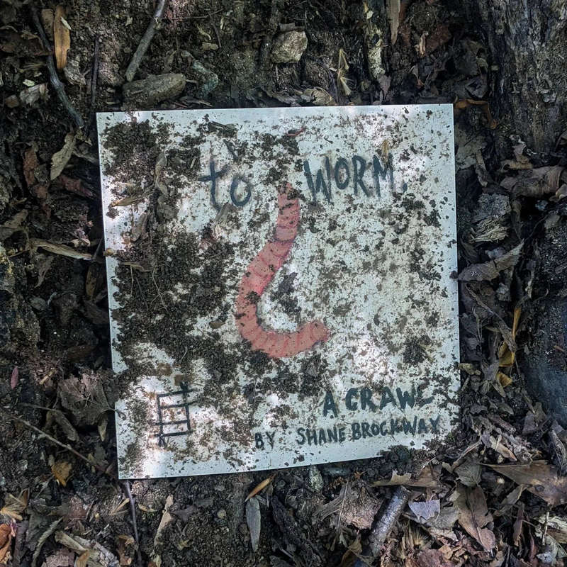 To Worm (Board Games)