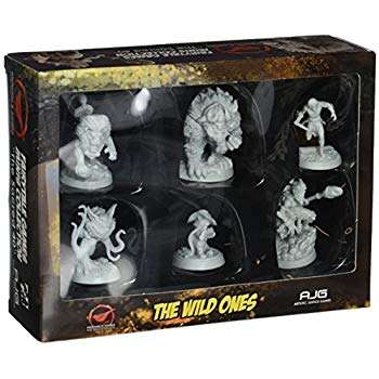 Fairy Tale Wild Ones (Board Games)
