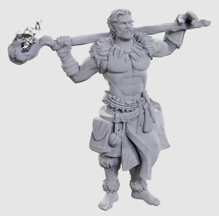 D&D Nolzurs Marvelous Minis W24 Archdruid & Martial Art Adept (Board Games)