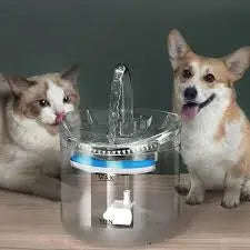 Portable Pet Water Fountain