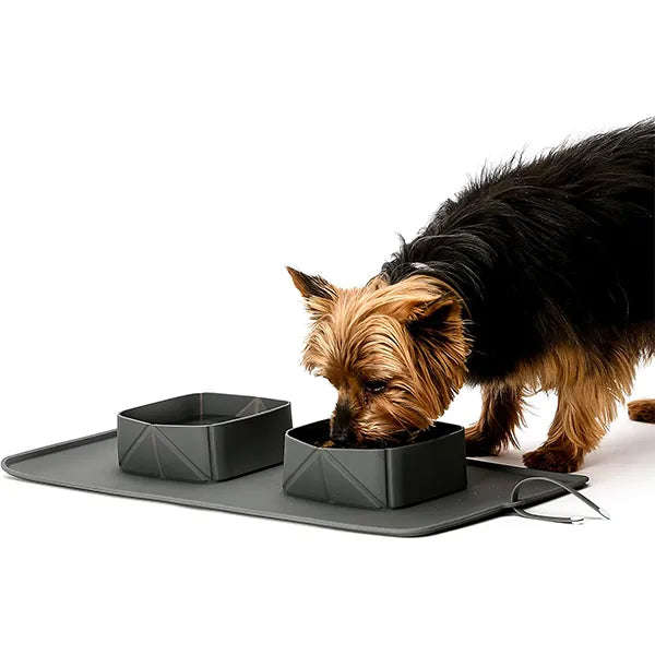 2 in 1 Portable Silicone Folding Pet Bowls & Feeding Mat Set