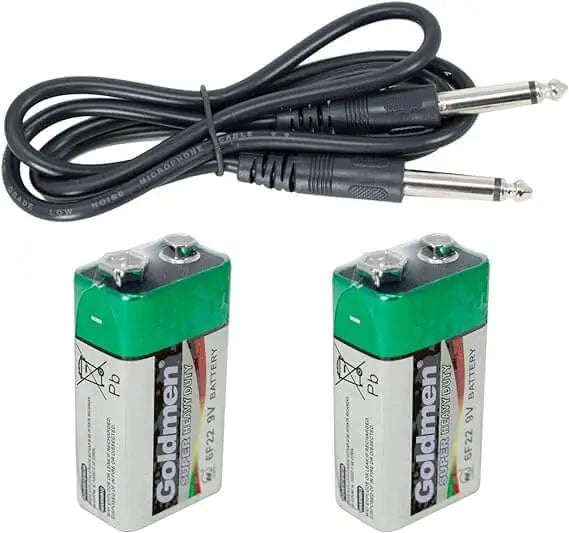 Wireless Microphone Set