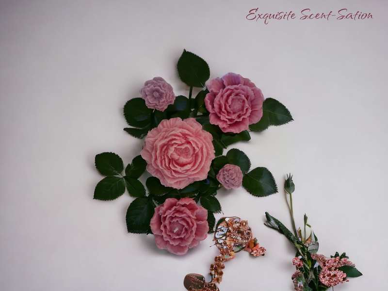 Large Scented Rose