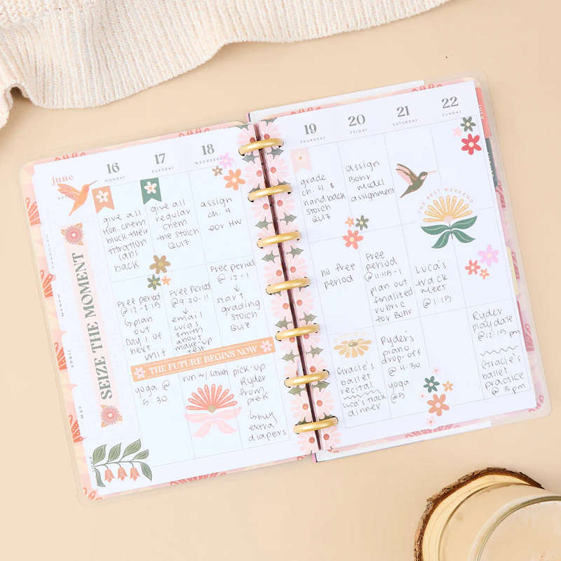 2025 Desert Rose Happy Planner  Mini Vertical Layout  12 Months