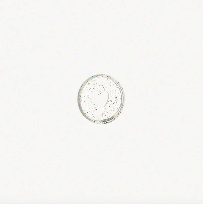 Mini Clear Glitter Planner Discs