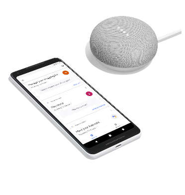 GOOGLE SMART TV KIT (HOME MINI & CHROMECAST) CHARCOAL