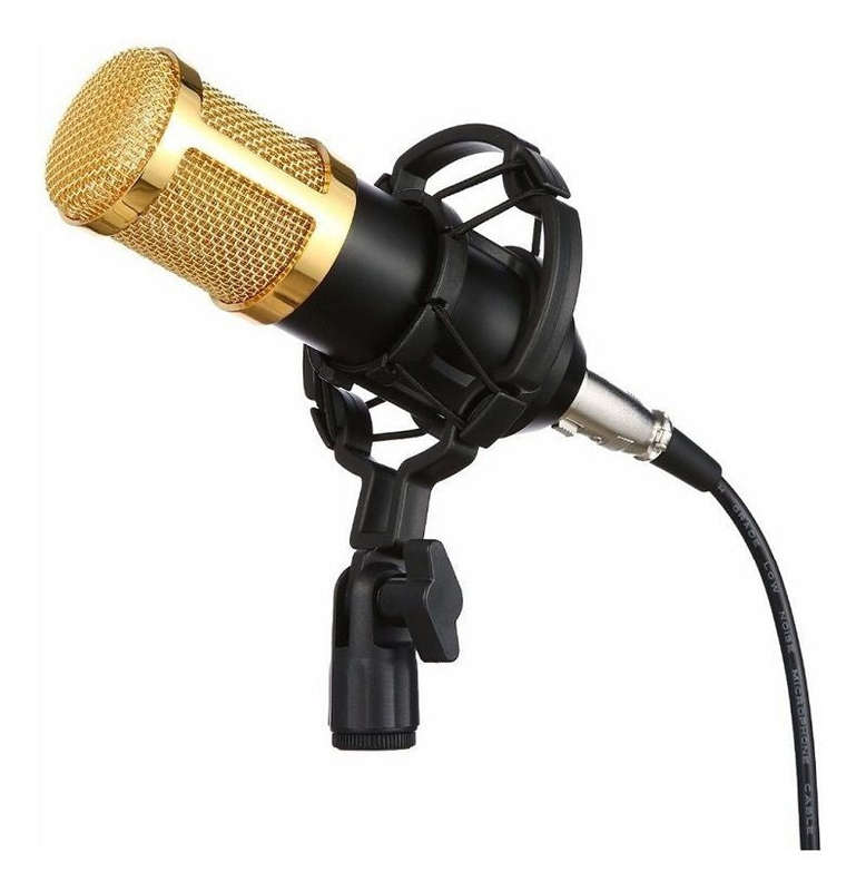 Condenser Microphone With Shock Mount & Anti Wind Foam Cap - Gold