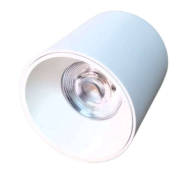 12W LED Cylinder Spotlight