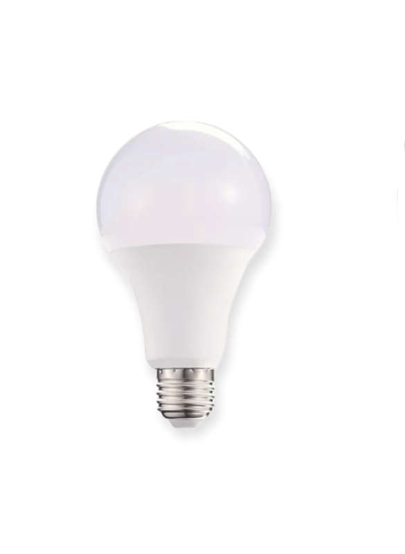 Smart LED Bulb