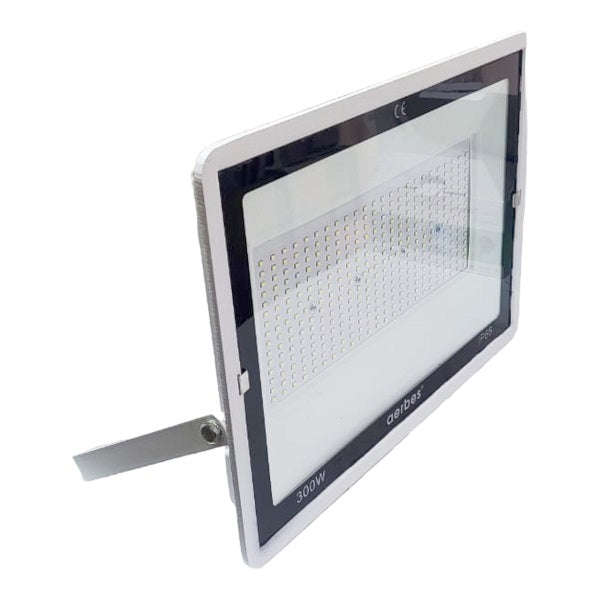220V LED Outdoor Flood Light
