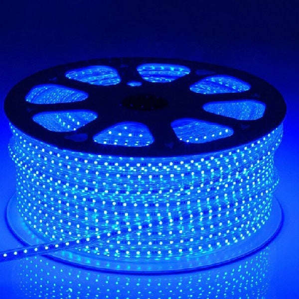 6MM LED 100M 5050 Strip Light Blue