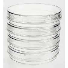 Sterilized petri dishes