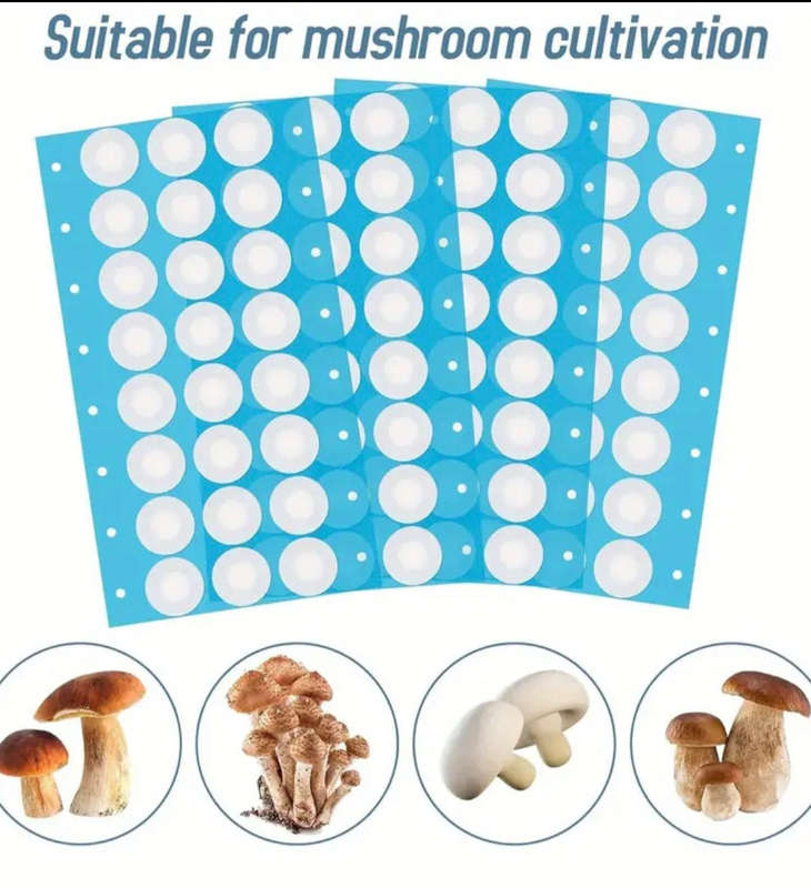 Filter patches