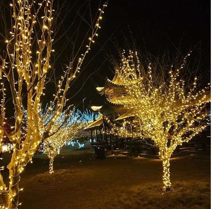 ZS - 20M Fairy String Lights 120LED Christmas Bedroom Outdoor Decoration - Multicolor