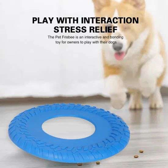 ZS - Pet Frisbee Toy - Blue