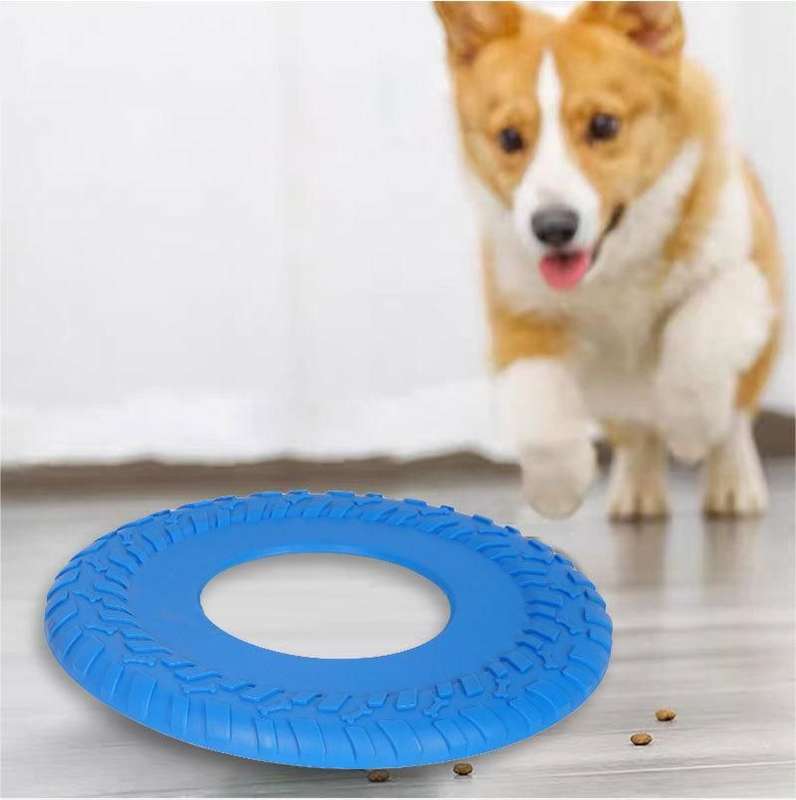 ZS - Pet Frisbee Toy - Blue