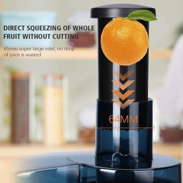 ZS - RAF - Juice Extractor - Silver