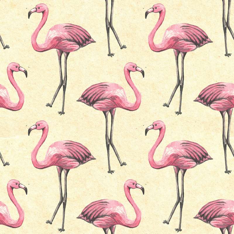 Elegant Roseus Wallpaper