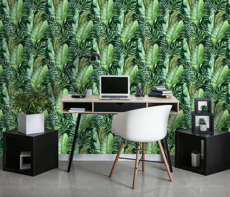 Lush Envy Wallpaper