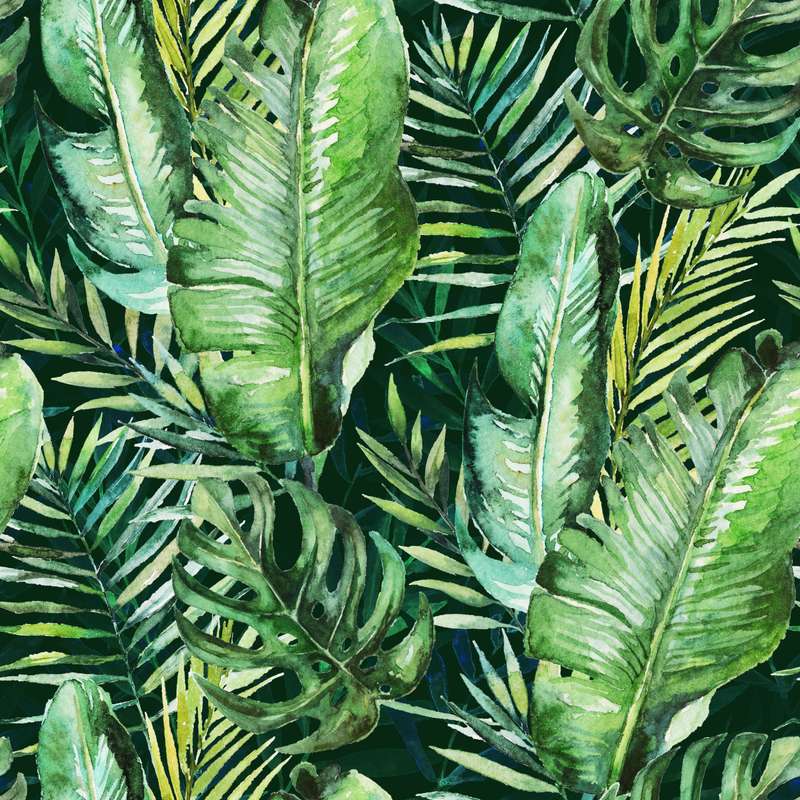Lush Envy Wallpaper