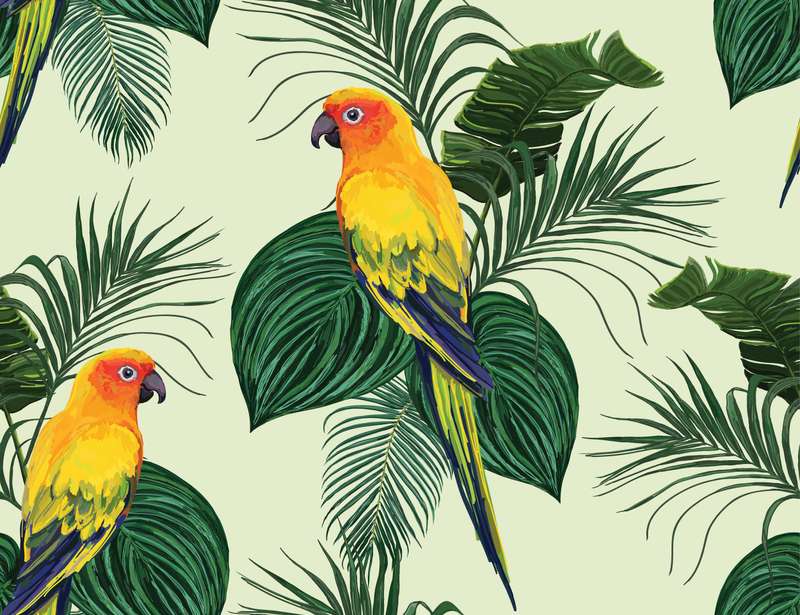 Canicularis Perch Wallpaper