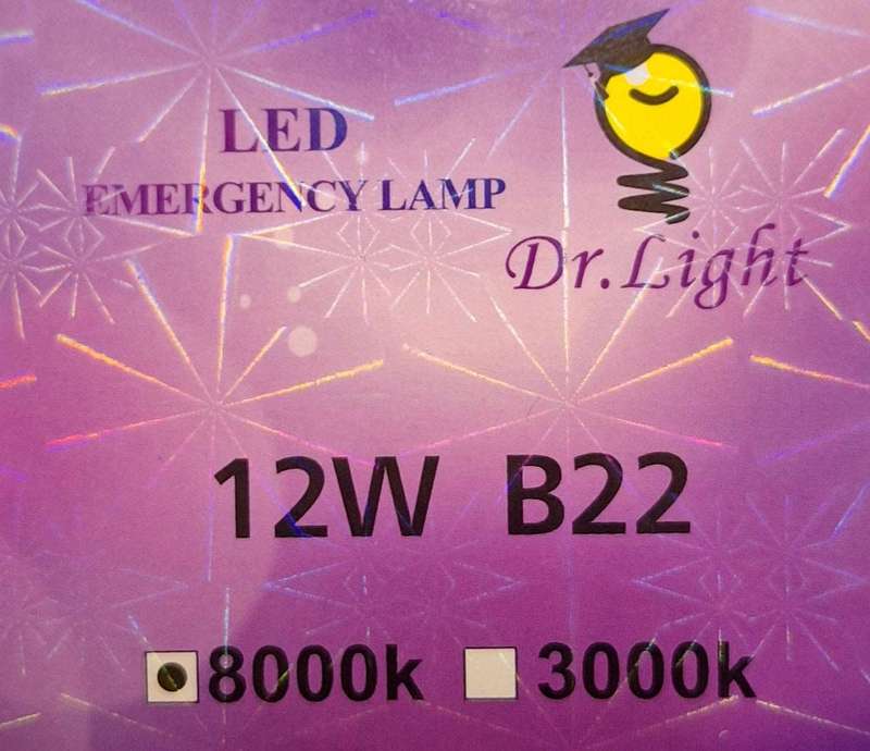 Dr. Light 12W LED Rechargeable Bulb B22