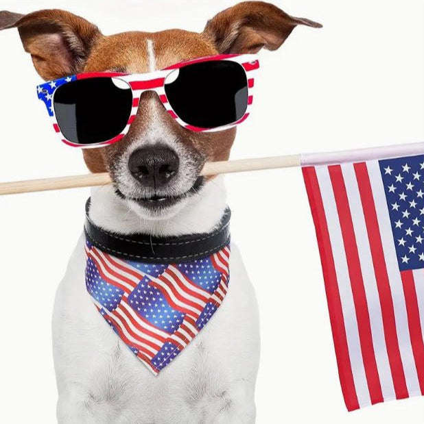 30Piece Sublimation Pet Bandana Heat Transfer Washable Triangle Dog Scarf