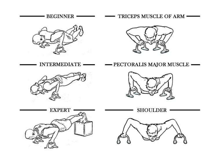 Push Up Bar