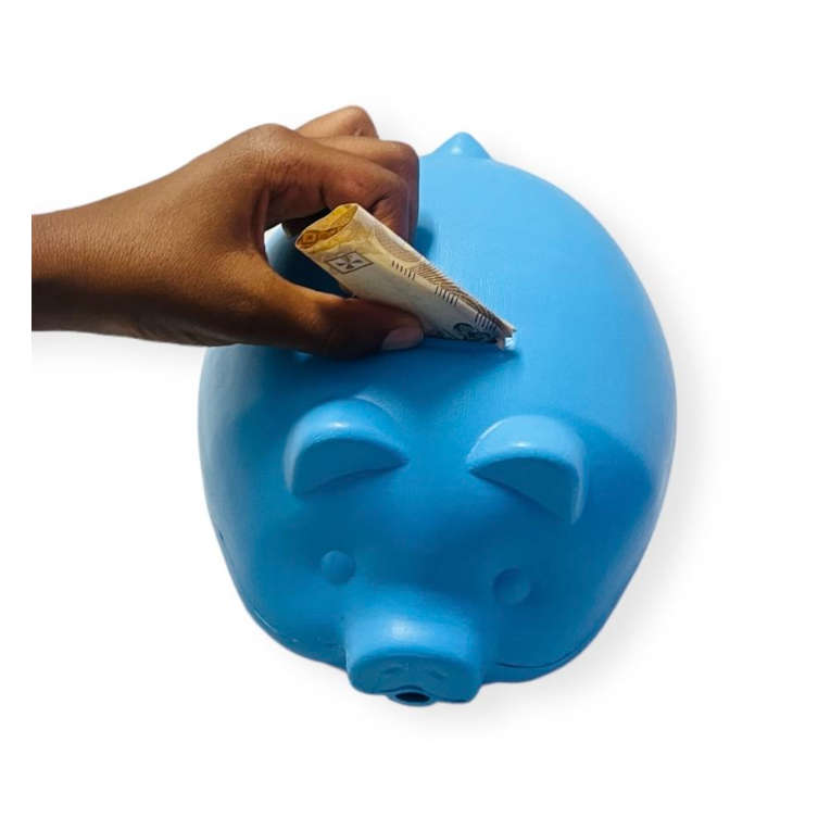 Jumbo Plastic Piggy Bank - Blue