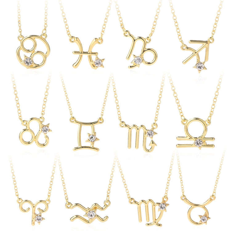 Zodiac Pattern Pendant Clavicle Chain Zodiac  Necklace(N2204-3)